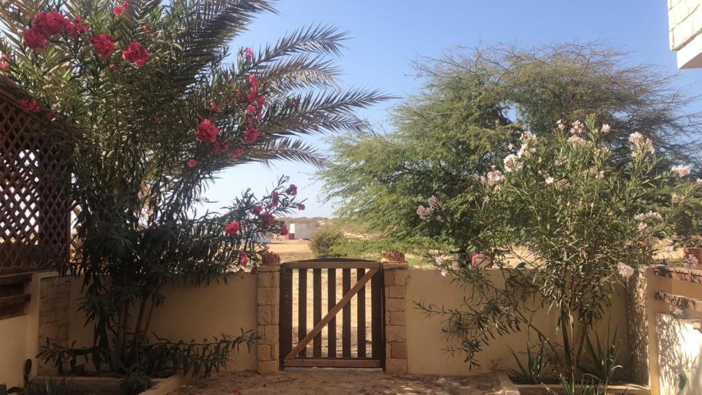 Attico Residence Costa Do Sol Сал Рей Екстериор снимка